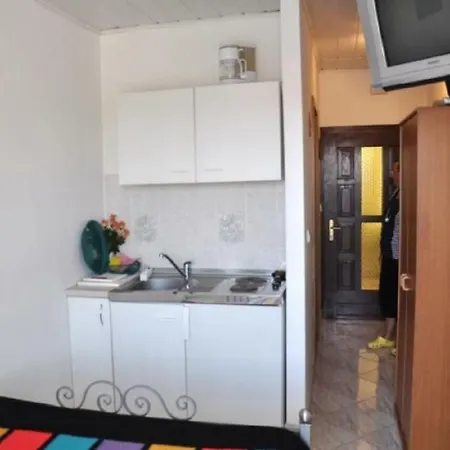 Apartment Lion *