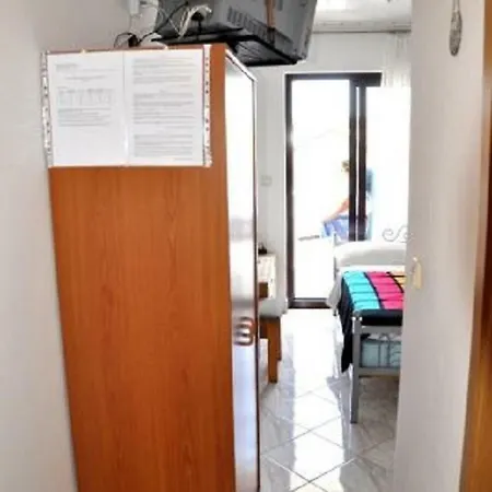 Apartment Lion